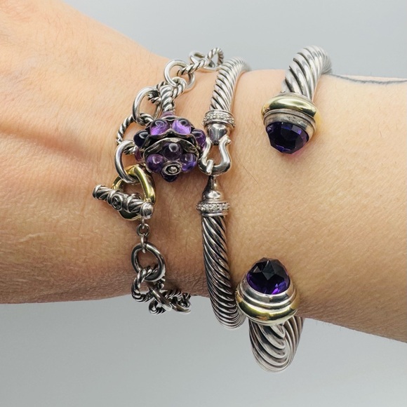 David Yurman Oval Link Charm Bracelet With Amethyst And Gold - Picture 7 of 8